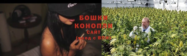PSILOCYBIN Липки