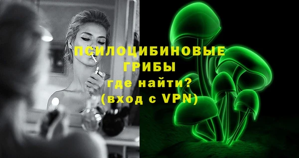 мдпв Лагань