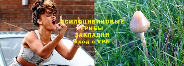 PSILOCYBIN Липки
