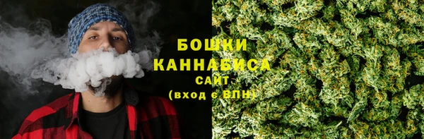 PSILOCYBIN Липки
