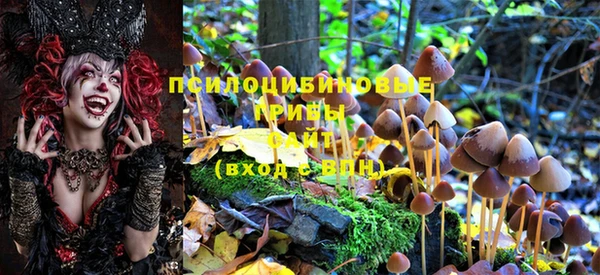 PSILOCYBIN Липки