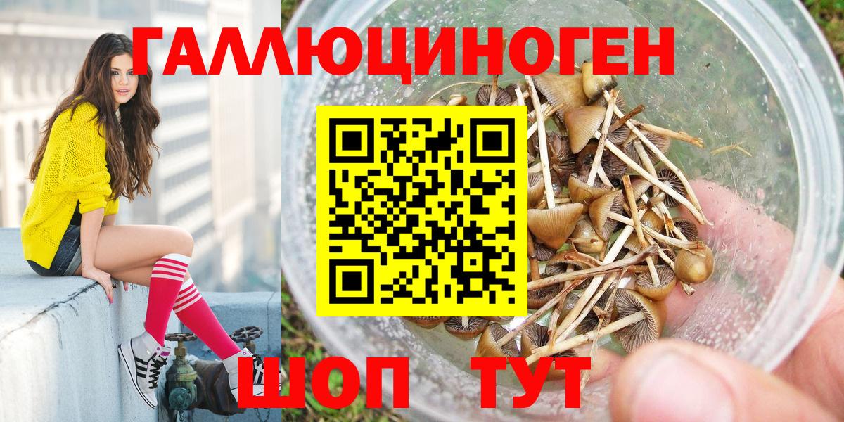 Галлюциногенные грибы Psilocybine cubensis Партизанск