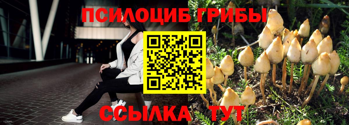 Галлюциногенные грибы MAGIC MUSHROOMS  Вход с VPN  Партизанск 